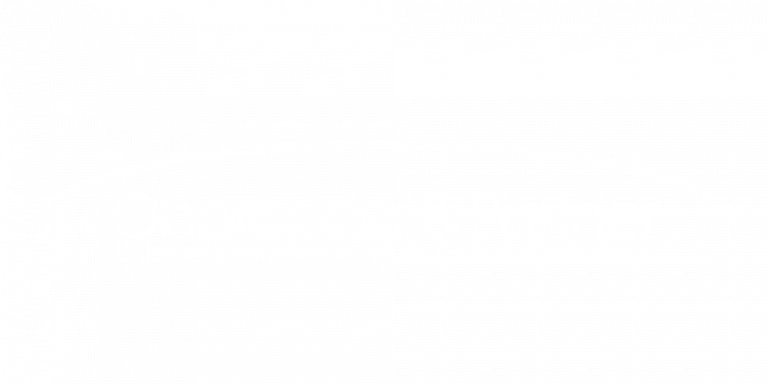 Oberender & Partner