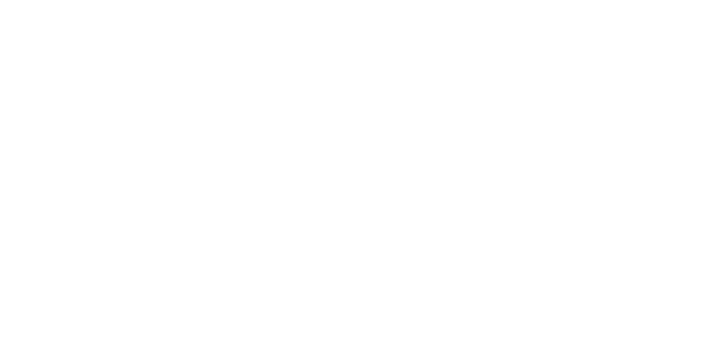 Oberender & Partner