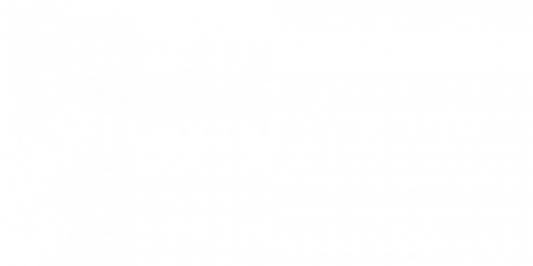 SellbyTell Group