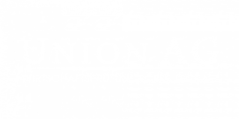 Union AG - Wirtschaftsprüfungsgesellschaft