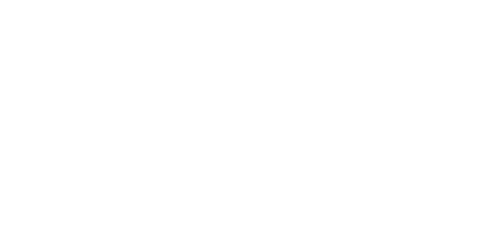 Union AG - Wirtschaftsprüfungsgesellschaft