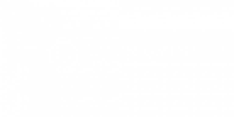 Union GmbH